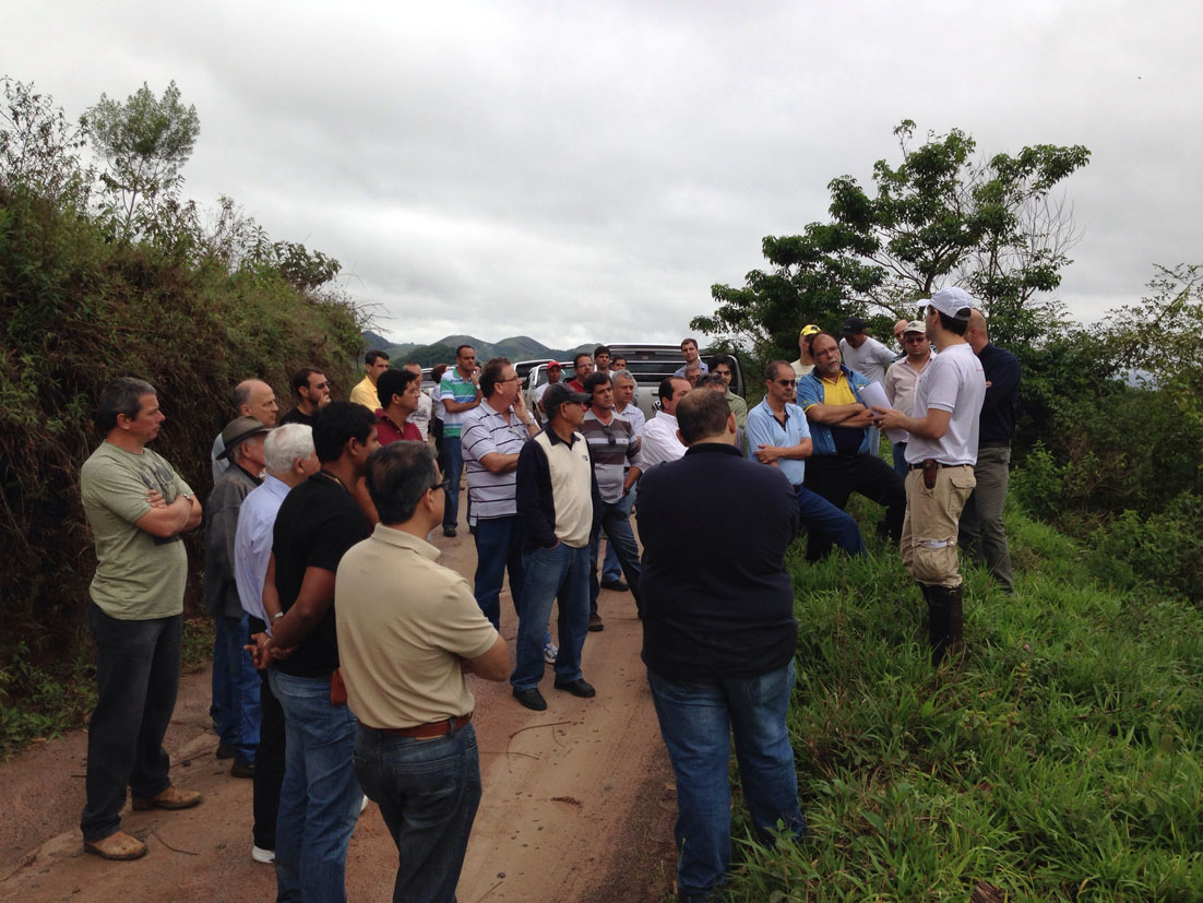 Portal de Notícias PJF | “Dia de Campo” - Cultura do eucalipto melhora renda do agronegócio | SAA - 25/11/2013